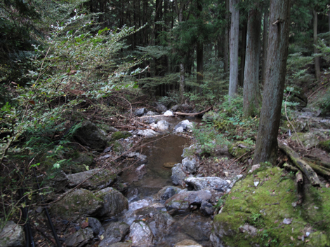 20151021hike (387)